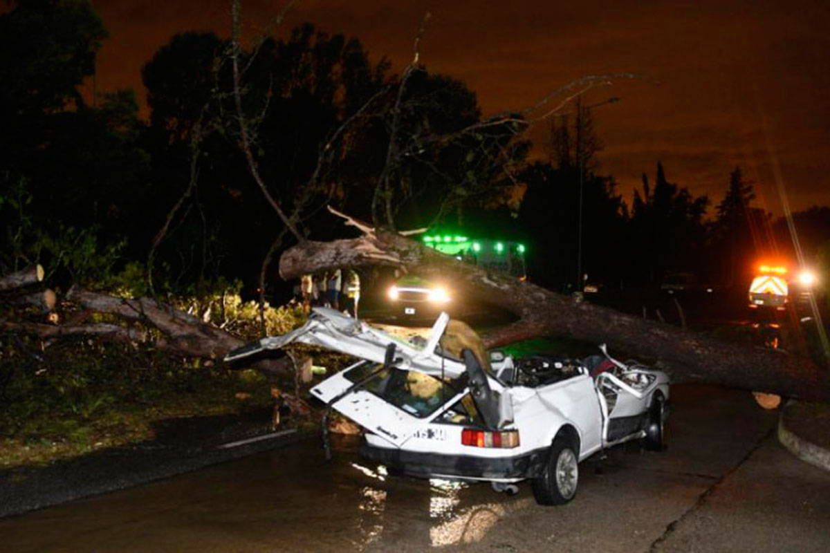 Córdoba: temporal de viento y lluvia dejó tres muertos