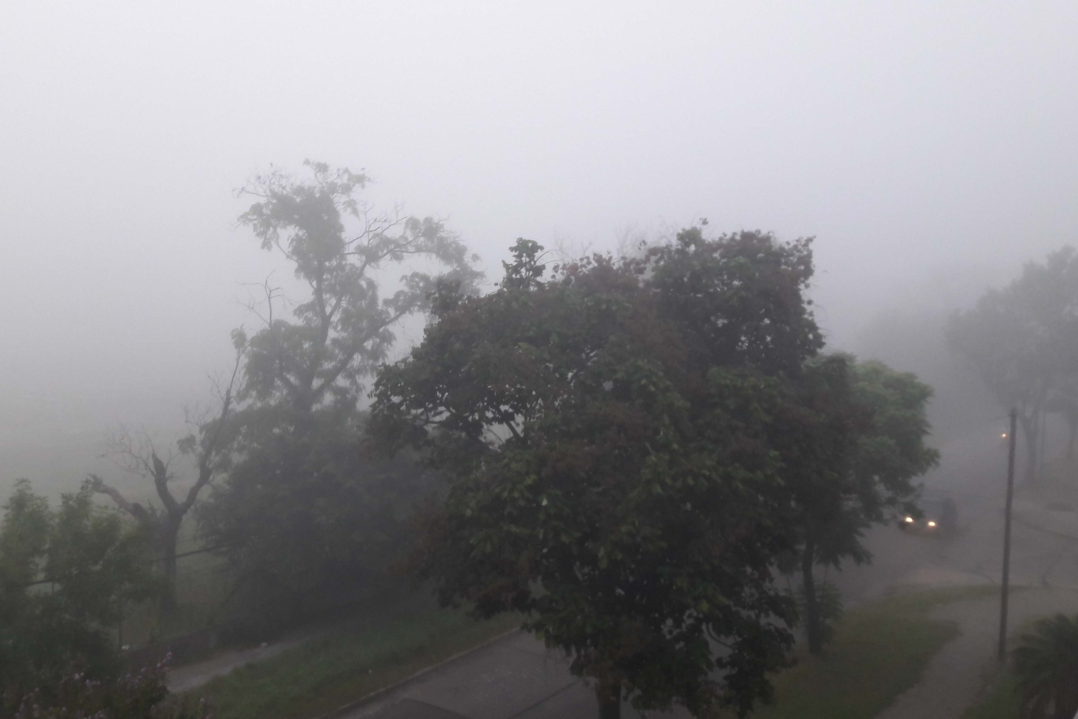 Una densa niebla cubrió la ciudad en pleno verano