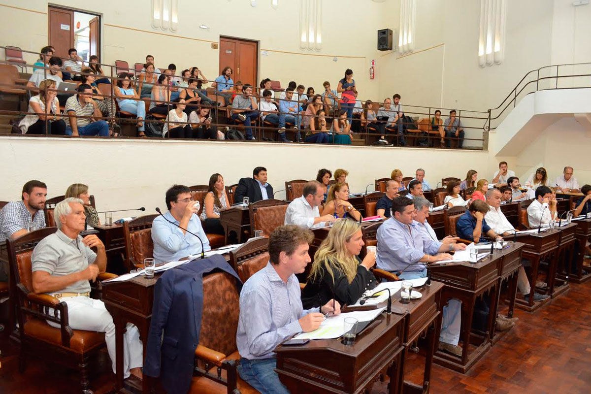 El Dengue y el aumento de precios en la mira del Concejo