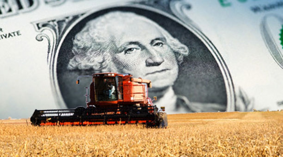 Admiten que el campo va a liquidar 7.000 millones de dólares hasta mayo