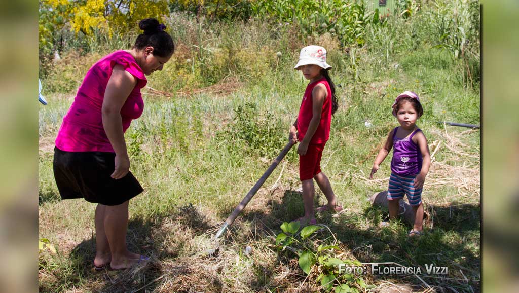 Agricultura urbana, formas alternativas de buscarle la vuelta a la subsistencia diaria.