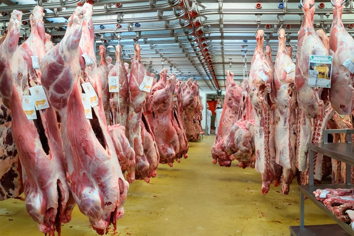 Exportación de carne a EE.UU. se reactivaría a fin de año