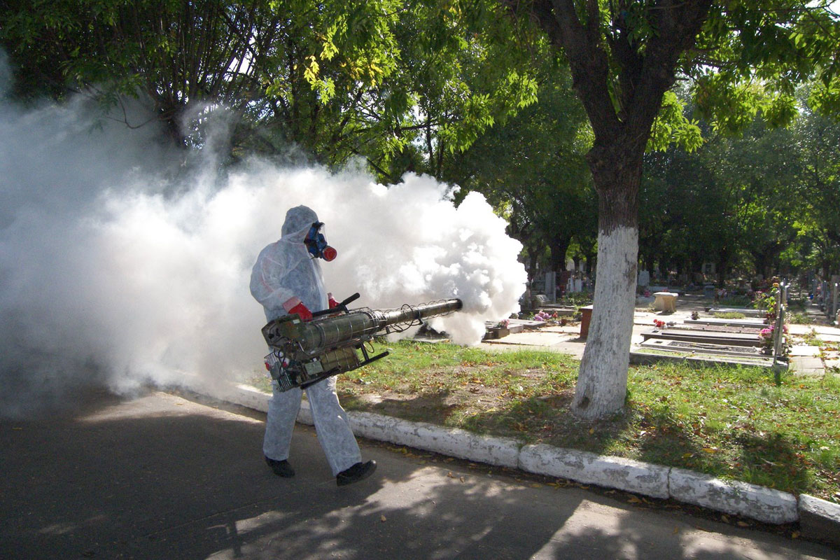 «El Aedes Aegypti no está en plazas y fumigar puede ser poco efectivo»