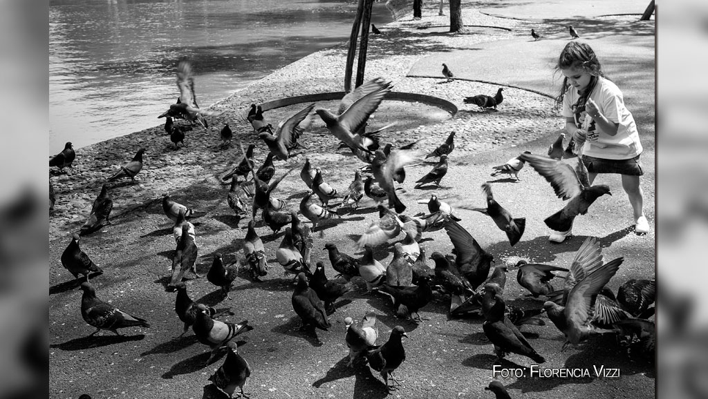 Un paisaje clásico de la ciudad: tarde cálida hacia fin del verano, niños y palomas en el laguito del Parque Independencia.