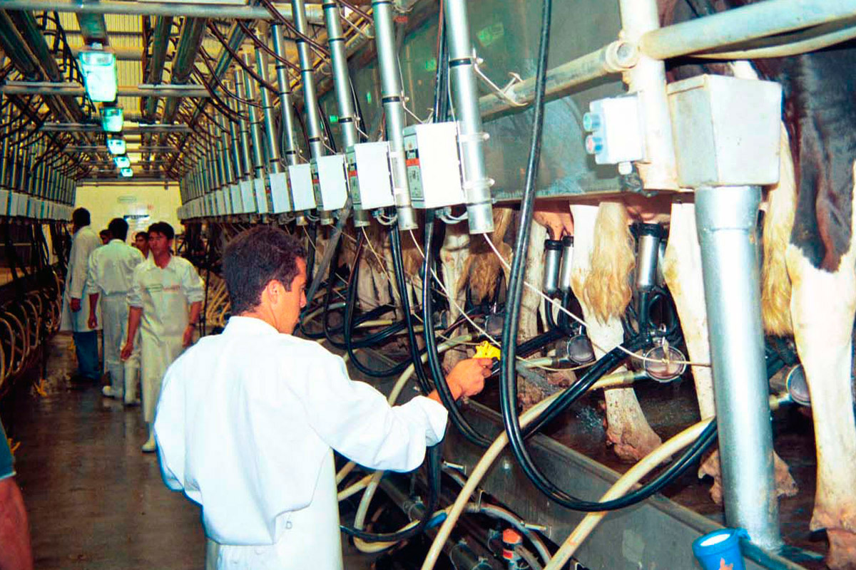 Otorgan créditos por un millón de pesos a productores lácteos