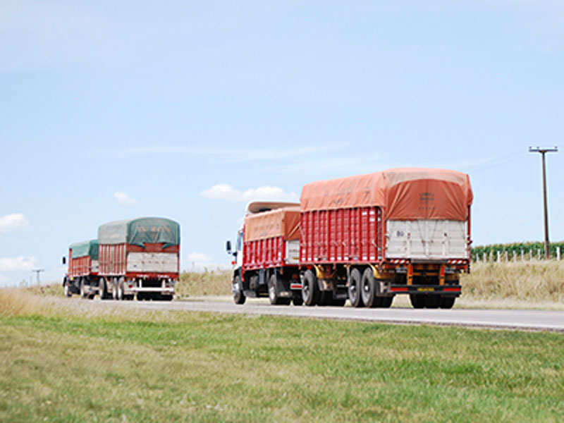 Resultado de imagen de camiones con granos"
