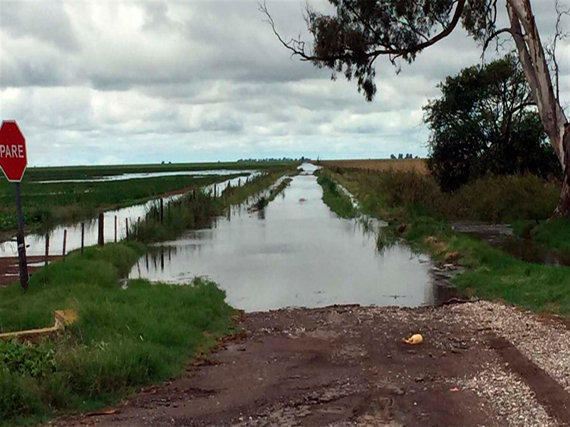 Asistirán a Córdoba con 50 millones por emergencia agropecuaria