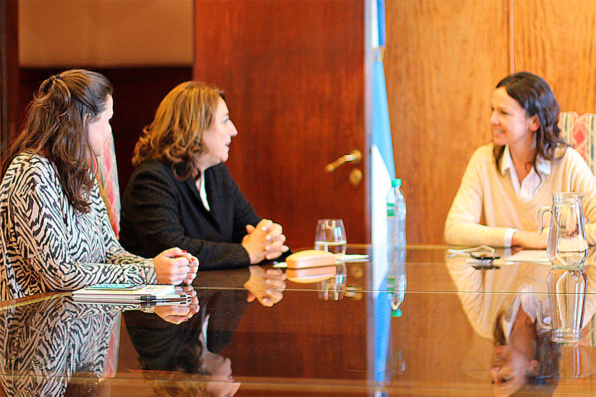 Fein se reunió con la ministra de Desarrollo Social