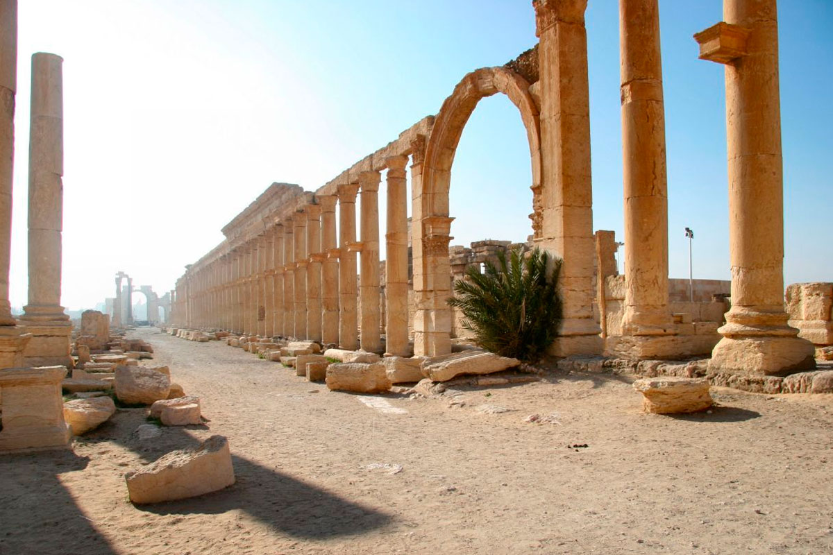 Críticas por el silencio sobre la victoria siria en Palmira