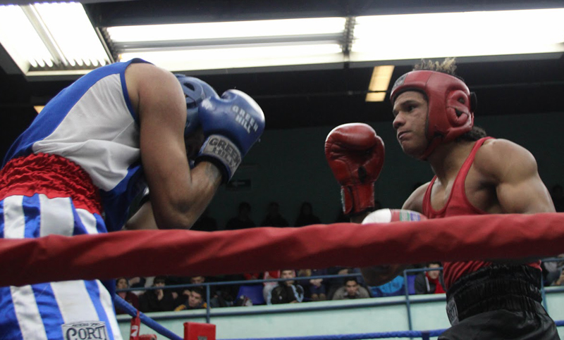 Boxeo: gran velada internacional en Luján