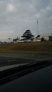 congestion3
