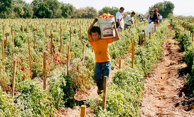 Hay 46.000.000 de personas en el mundo bajo esclavitud