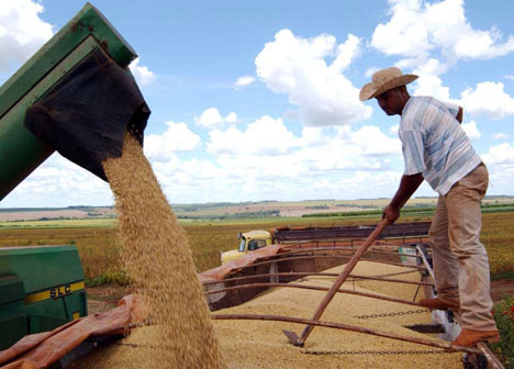 Ingresaron 455 millones de dólares en una semana por la exportación de granos