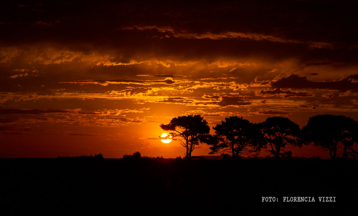 Atardeceres rosarinos… cuotas cotidianas de belleza, al alcance de todos los que sean capaces de percibirla.