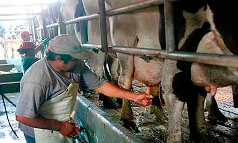 Tamberos dicen que cerrarían la mitad de los establecimientos