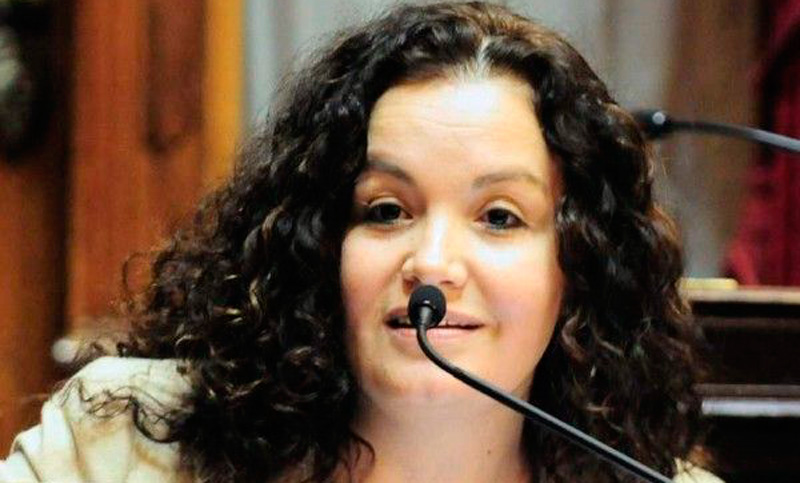 «De Vido debería pedir su propio desafuero», dijo una senadora peronista
