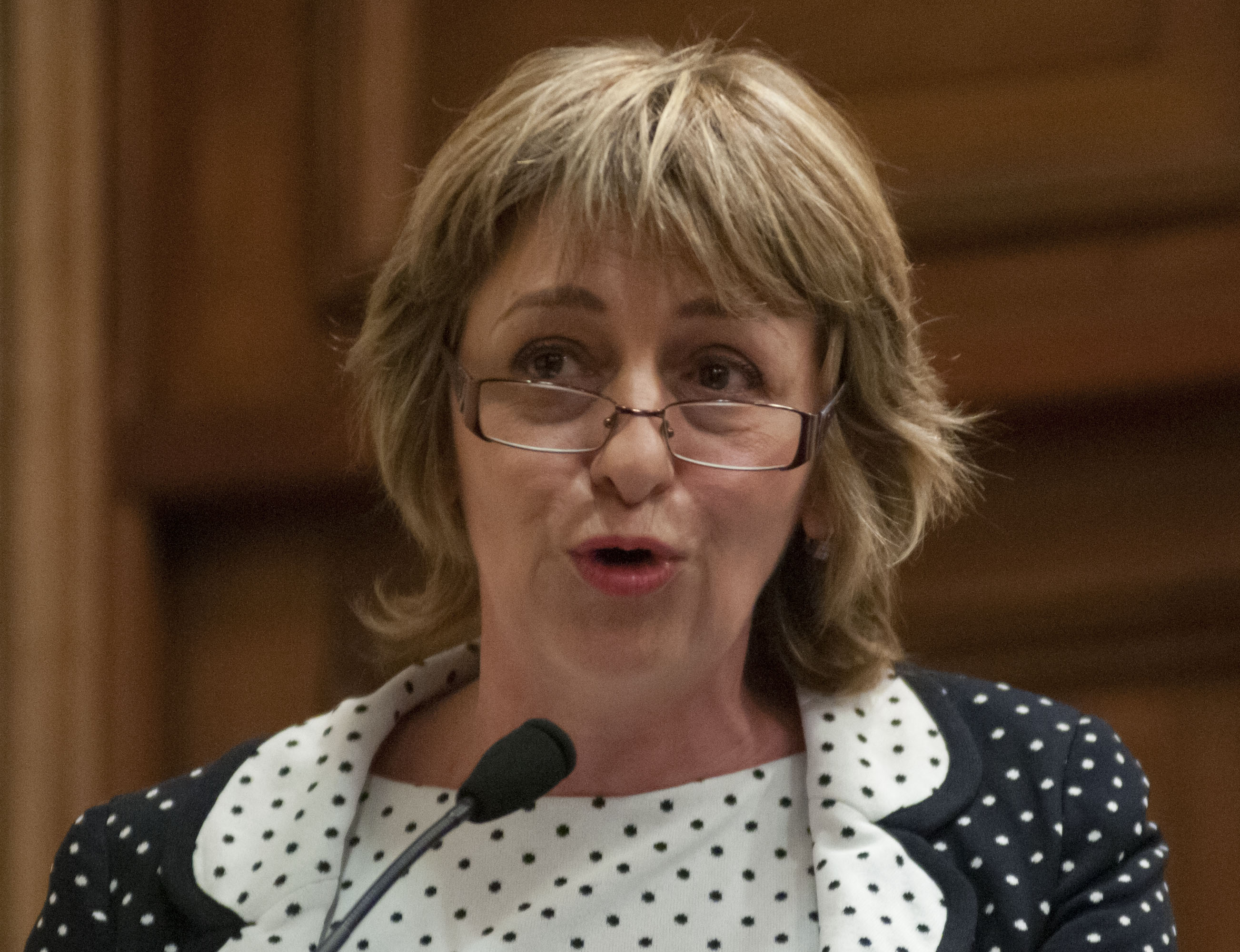 Arrancará el debate del recorte de poder a Gils Carbó