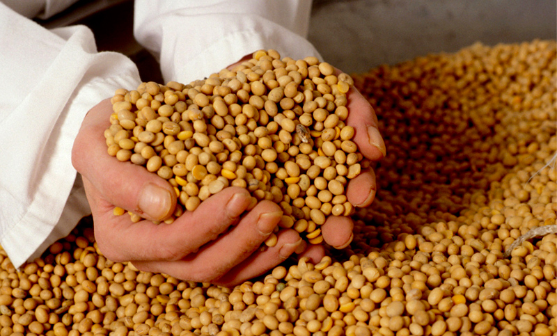 Exportaciones de granos crecieron 35% en los primeros cinco meses del año