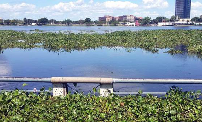 Hallaron cadáver de pescador desaparecido en laguna Setúbal