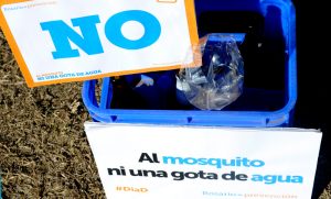 Dengue