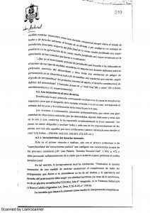 Fallo denegacion apelacion coto_Página_3