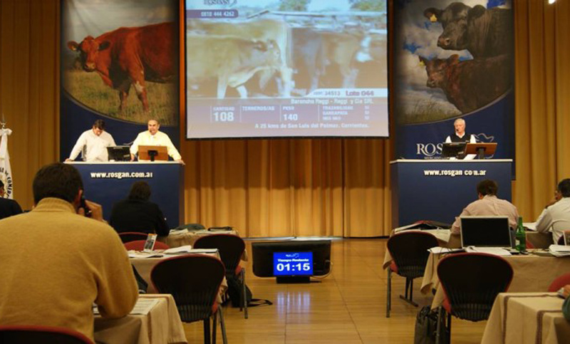 Rosgan pone a la venta más de 18.000 mil cabezas este miércoles y jueves