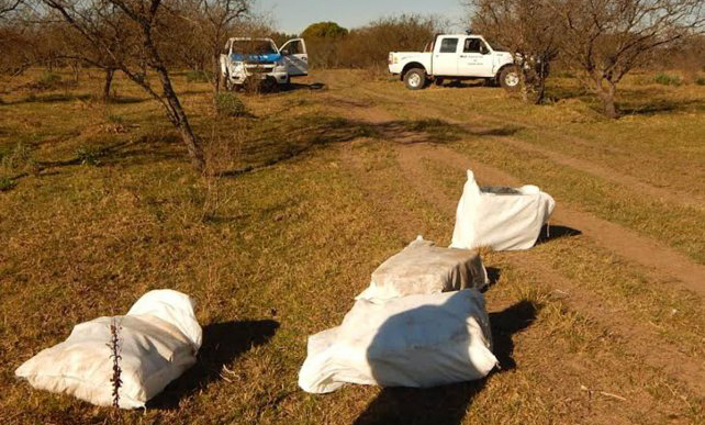 Arrojan 400 kilos de marihuana y 20 de cocaína desde avioneta a un campo en Entre Ríos