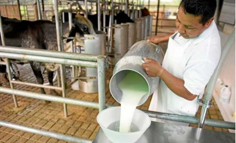 Fuerte baja de la industria santafesina en el primer semestre del año