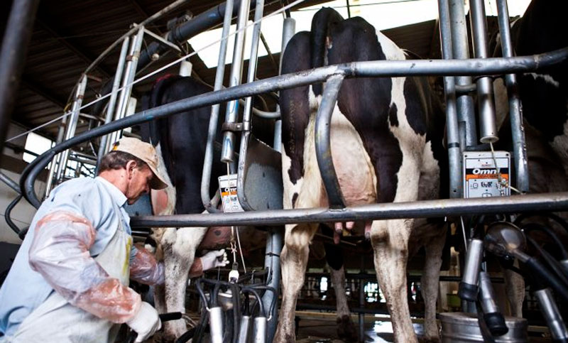 Cae consumo de leche y hablan de la peor crisis para el sector