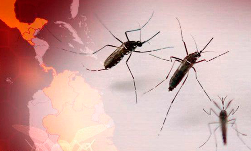 Con 20 nuevos casos por día, el zika se dispara entre embarazadas en Puerto Rico