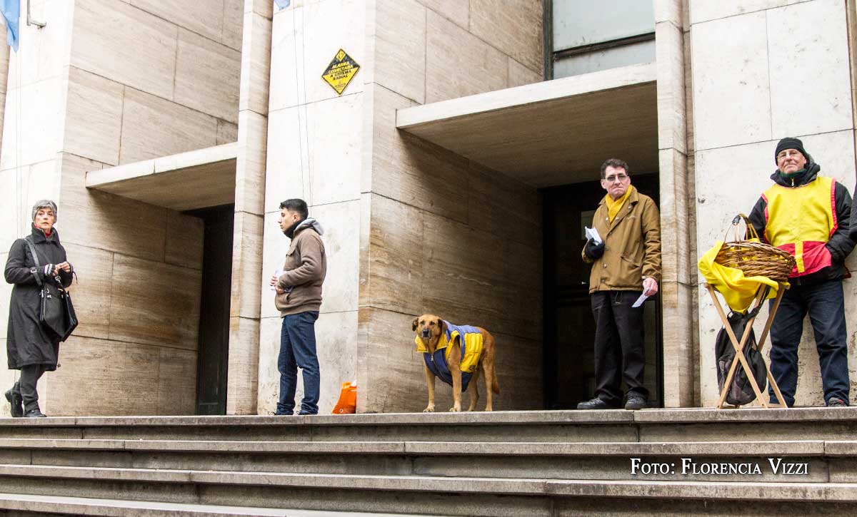 Tribunales Provinciales de Rosario tiene sus clásicos, el perro con campera es uno de ellos… de pie y en guardia.