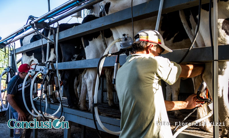 Tamberos advierten que por la caída de la producción se podría importar leche