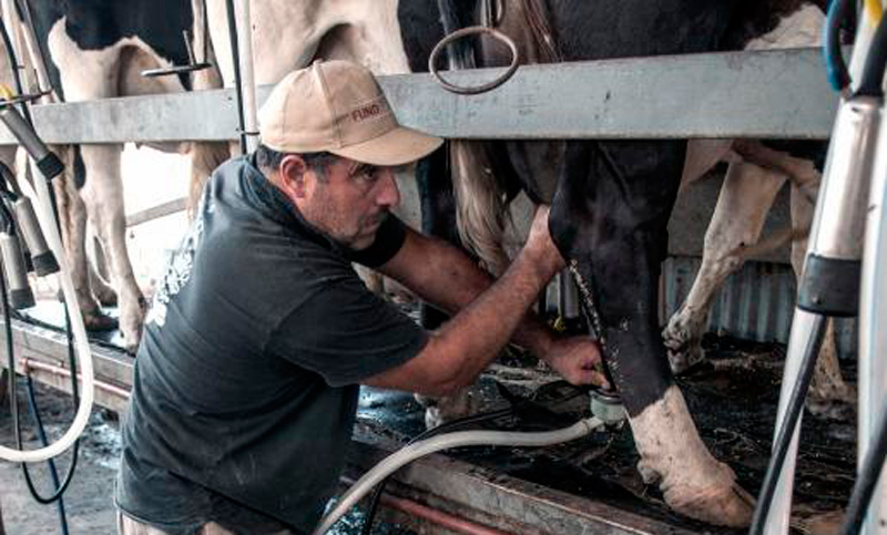 “No estamos lejos de importar diversos productos lácteos”