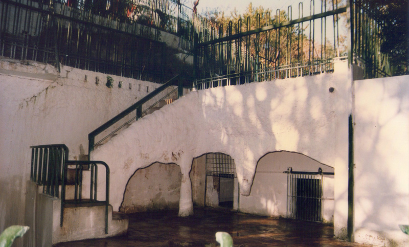zoologico3