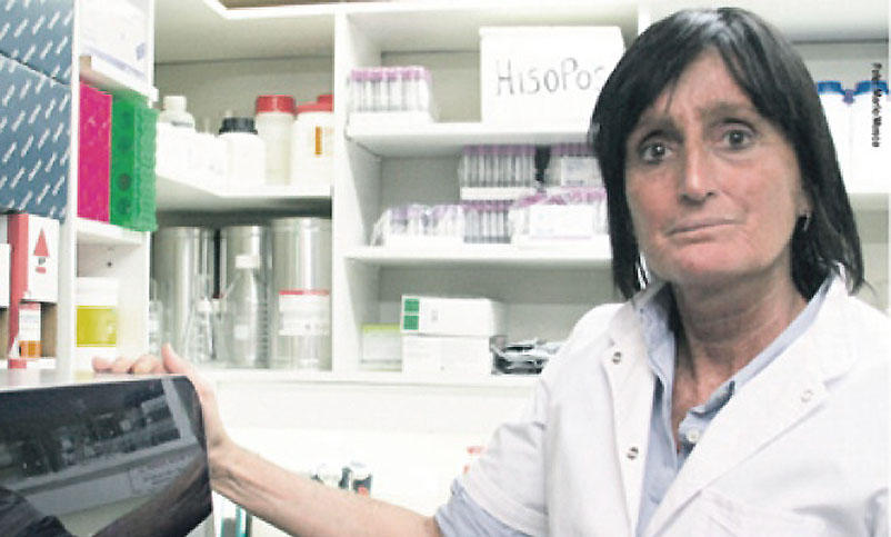 Para el Incucai «no hay retraso en tipificar muestras para trasplantes de médula ósea»