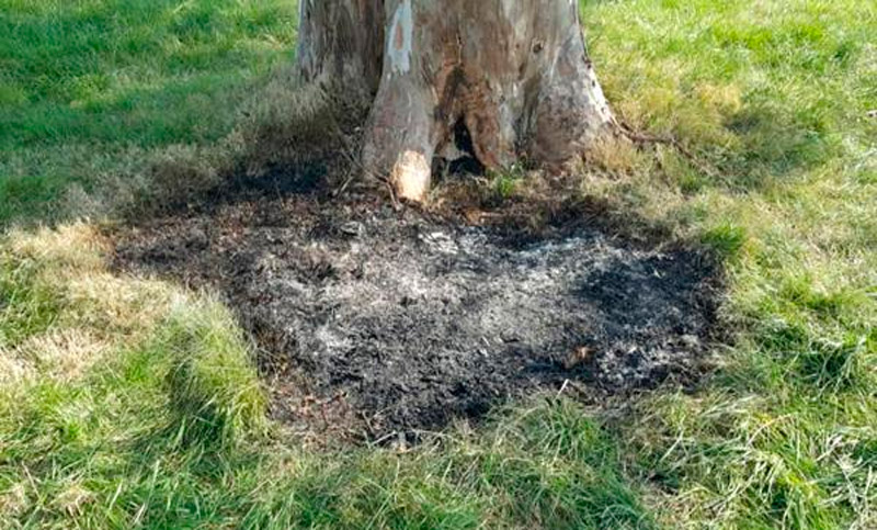 Encontraron un cuerpo calcinado dentro de una valija en la ruta 2