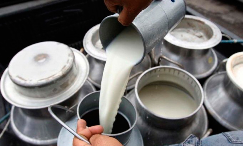 La crisis láctea en la pampa golpea a los productores tamberos