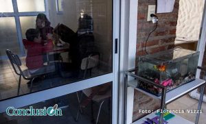zooterapia_cetaca_flor_vizzi-003