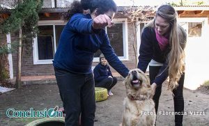 zooterapia_cetaca_flor_vizzi-011
