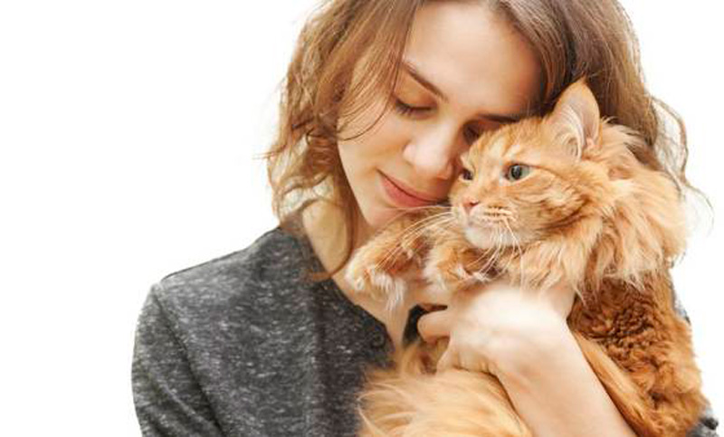 Gatos y mujeres: ¿un vínculo especial?