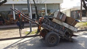 caballos2