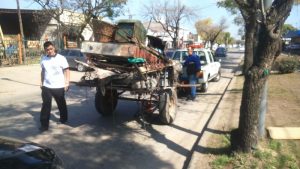 caballos3