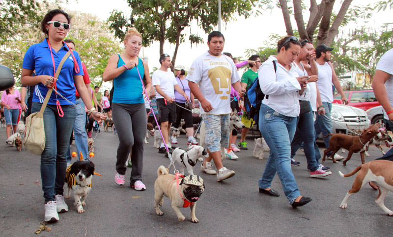 Se realiza la Caninata en Funes, para hacer ejercicio con tu mascota