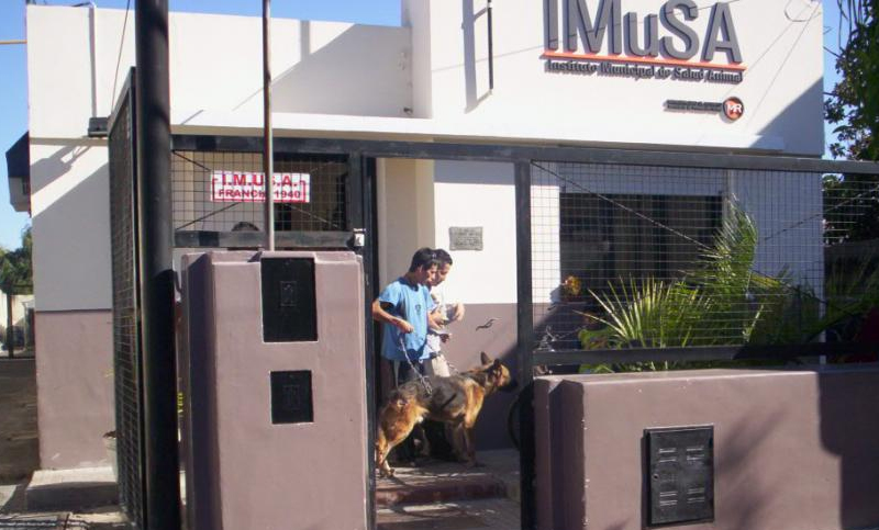 Repudian proyecto para convertir el Imusa en ente autárquico manejado por privados