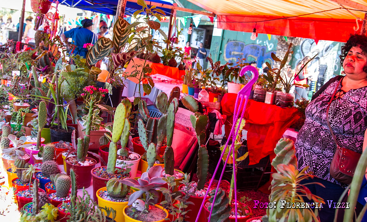 ¡Primavera con techito!… la primavera llegó a las ferias
