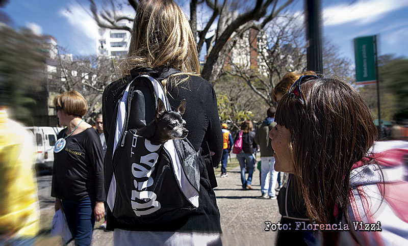 Tarde de relaciones públicas y paseo en mochila… ¡vida de perros!