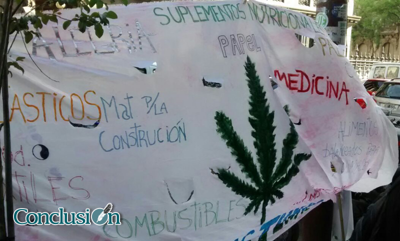 Con aroma a cannabis, legisladores debatieron uso medicinal de la marihuana