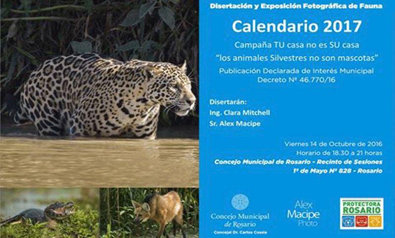 Llega la campaña «Tu casa no es su Casa, los animales Silvestres no son mascotas”