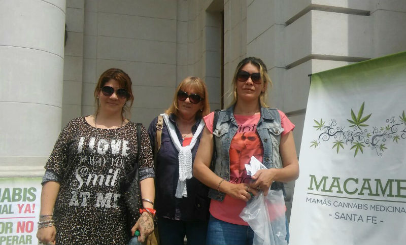 «Tenemos que lograr la despenalización del cannabis para que no sufran los niños»