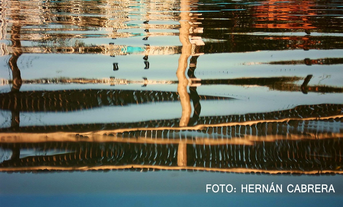 Reflejos….